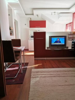 Apartament la vila Cantemir Oradea